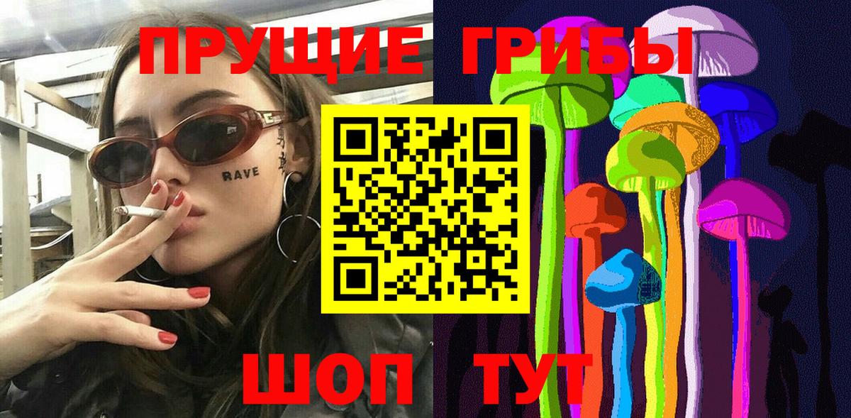 Псилоцибиновые грибы Psilocybe Бор