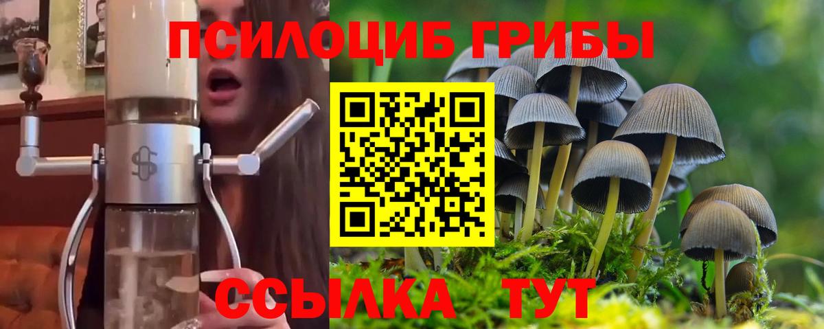 Бор  Псилоцибиновые грибы прущие грибы  Вход с VPN  Псилоцибиновые грибы прущие грибы 
